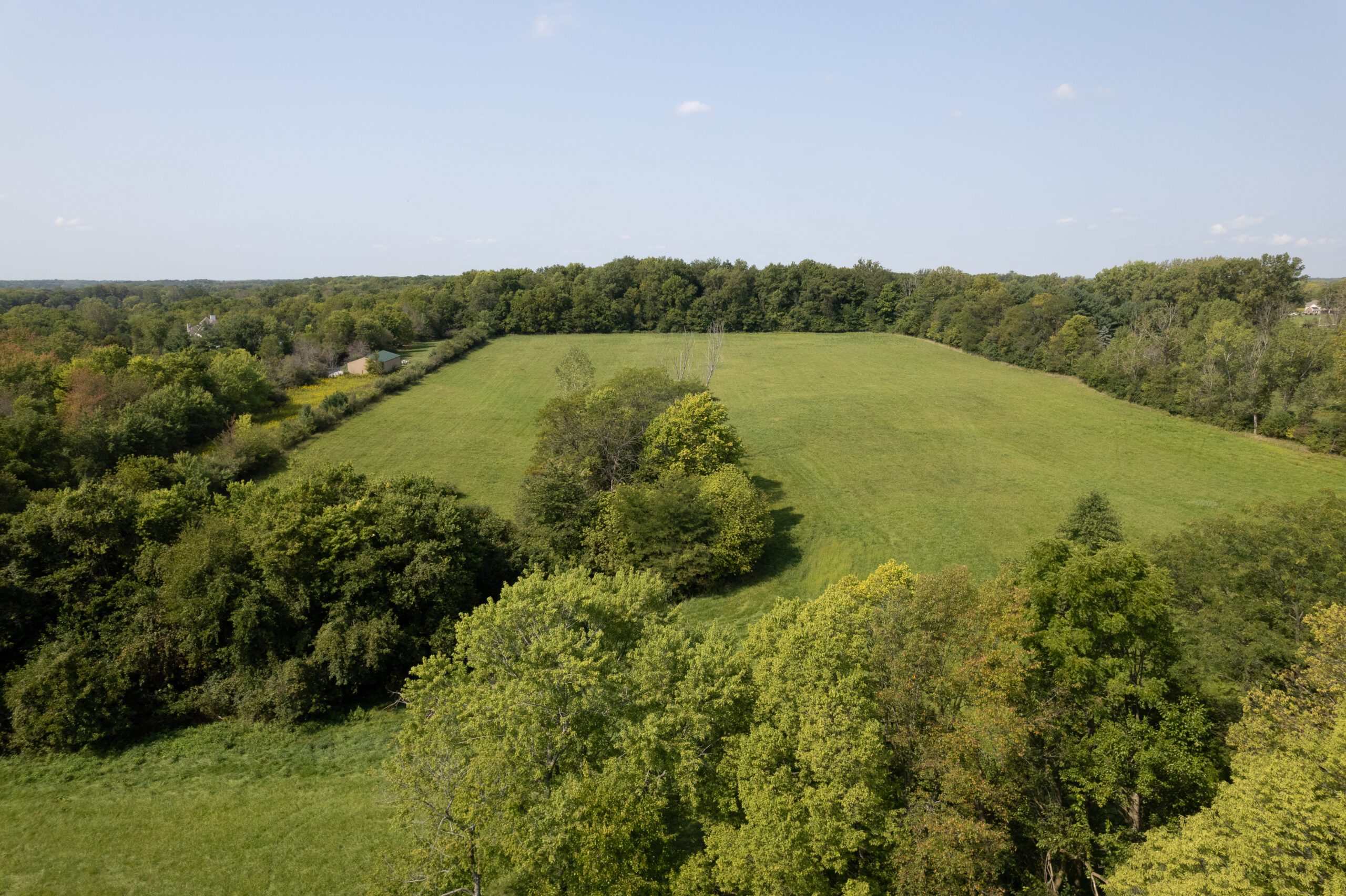 Aerial view of a green field lined with trees.